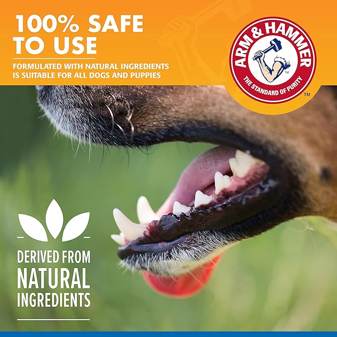 Combo Pack: Arm & Hammer Dog Dental Tartar Control Water Additive and Fresh Breath Vanilla Ginger Enzymatic Toothpaste