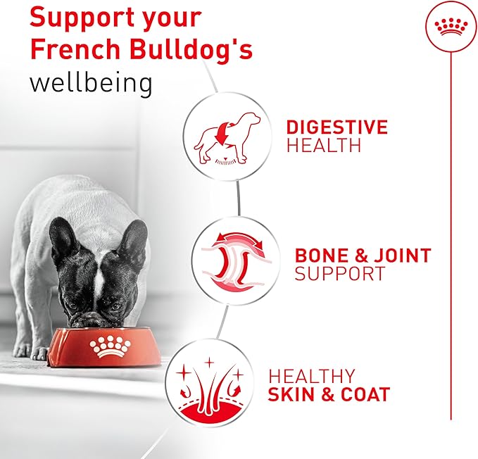 Royal Canin Breed Health Nutrition French Bulldog Wet Dog Food for Adult Dogs, Loaf Wet Food for French Bulldogs 12 Months+, Supports Digestive Health and Bone & Joint Health, Multipack 6 x 3 oz cans