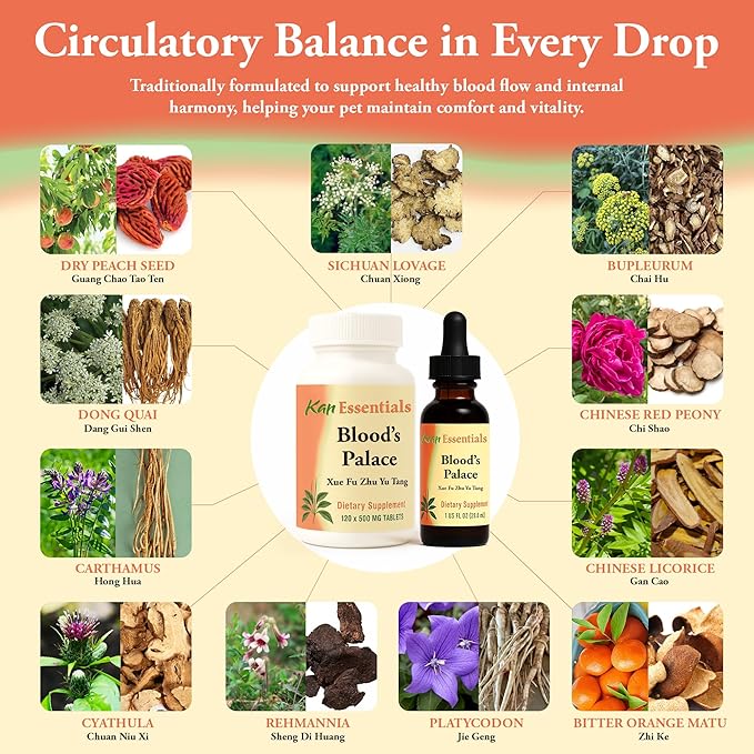 Kan Herb Company Blood’s Palace – Traditional Chinese Herbal Blend for Dogs & Cats to Support Circulation, Liver Qi, Emotional Balance, and Overall Wellness, Liquid Herbal Supplement for Pets, 1 fl oz