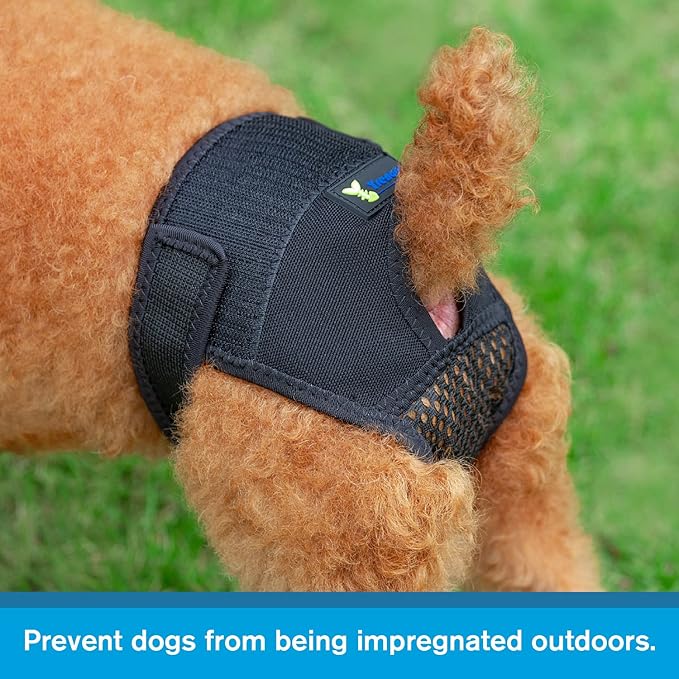 Dog Panties for Dogs in Heat, Reusable Female Dog Pants to Prevent Cross-Tailing. Washable Dog Underwear to Protect Female Dogs from Male Dogs (M, Black)