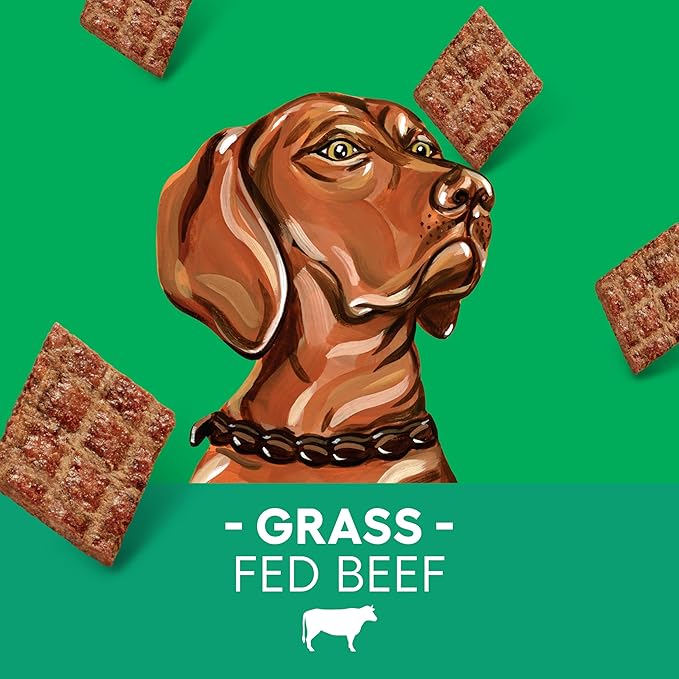 Newman's Own Jerky Treats for Dogs - Grain Free - High Protein Savory Dog Treat with Grass Fed Beef as First Ingredient - Training & Reward Treats - Original Beef Recipe - 5 oz Bag (Pack of 6)