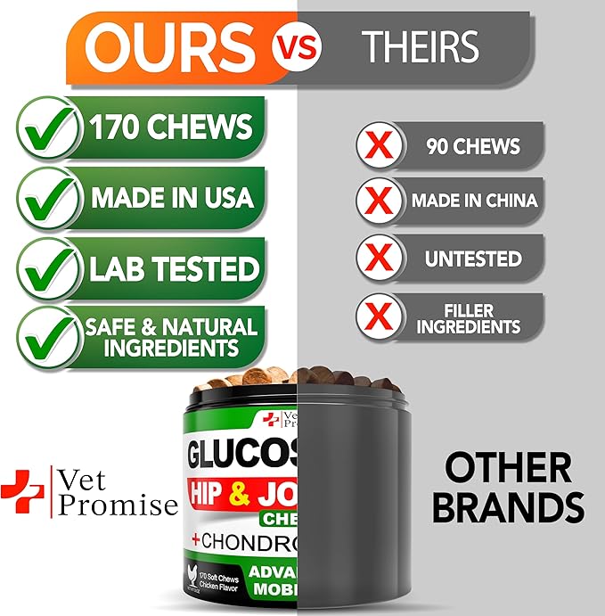 Vet Promise Glucosamine for Dogs - Hip and Joint Supplement for Dogs - Glucosamine Chondroitin - Joint Pain Relief Pills - MSM - Advanced Health Support Supplement - 170 Mobility Chews - Made in USA