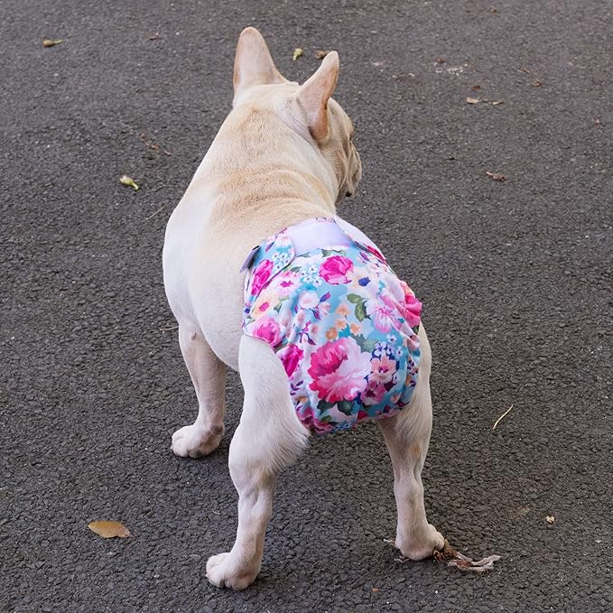 CuteBone Washable Dog Diapers Female No Tail Hole 3 Pack Reusable Doggie Period Training Pants for Docked-Tail Frenchie French Bulldog Boston Terrier Without Tail WWD04S
