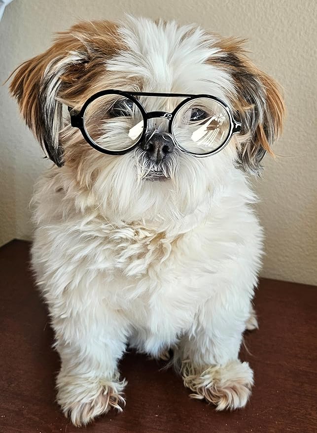 G002 Dog Pet Clear Lens Costume Glasses Small to Medium Breeds 12LBS~30LBS Prop Photoshoot Sunglasses (BR Round Black-Clear)