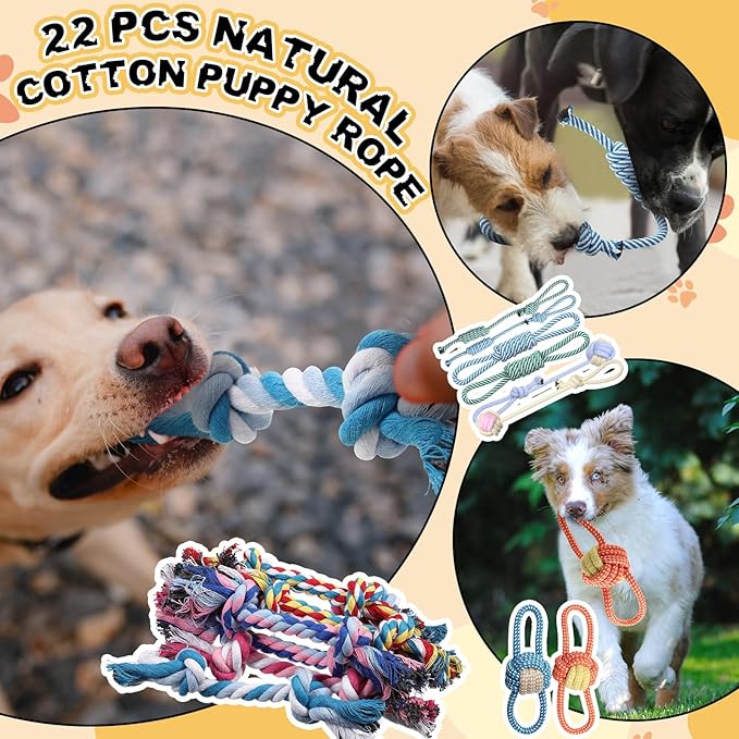Syhood 60 Pcs Squeaky Dog Toys Bulk Stuffed Plush Chew Toys Puppy Teething Rope Cute Spiky Chew Ball for Small Dog Pet Teething Gift(Cute Style)