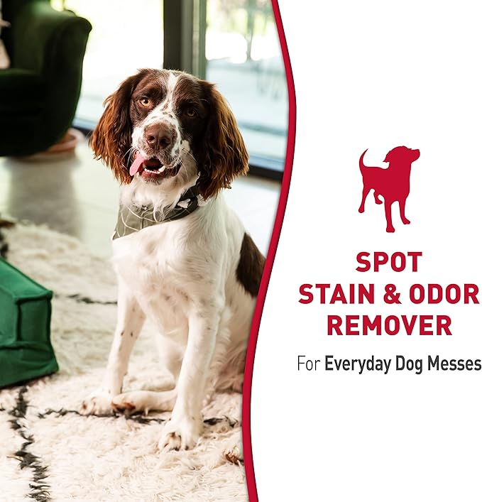 Nature's Miracle Stain and Odor Remover Dog 32 Ounces, Odor Control Formula, Pour (Pack of 2)