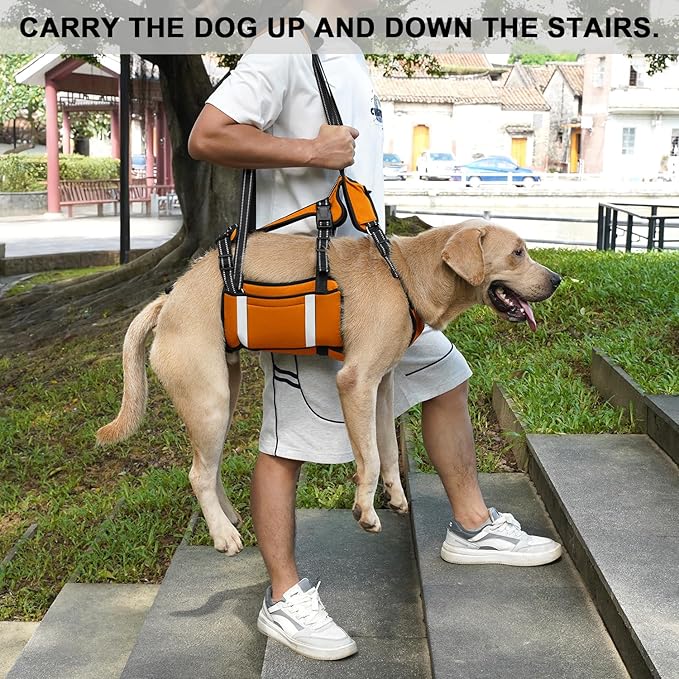 COODEO Mobility Dog Lift Harness, Emergency Carry Sling, Pet Rear Leg Support Rehabilitation Lifts Vest, Dog Carrier for Senior Dogs Joint Injuries, Arthritis (Orange, L)