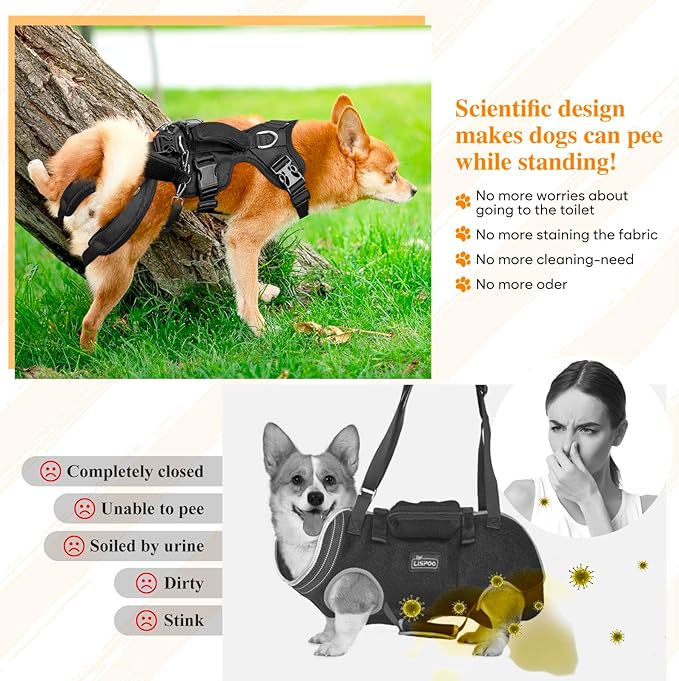 Dog Lift Harness, Dog Support & Recovery Sling for Full-Body & Hind/Front Leg – Pee-Able Design for Large/Medium Dogs – All-in-One Ideal Assistance for Senior, Disabled, Arthritic & ACL Canines (L)