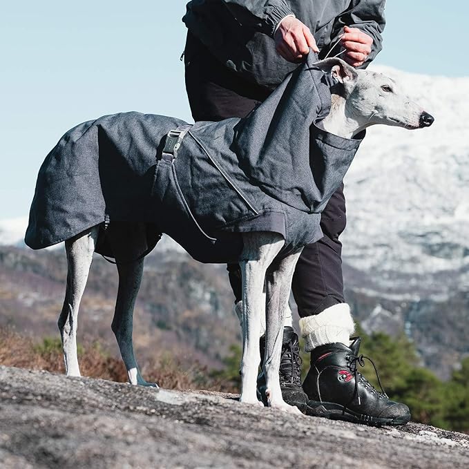 Hurtta Expedition Parka, Winter Dog Coat, BlackBerry, 32 in