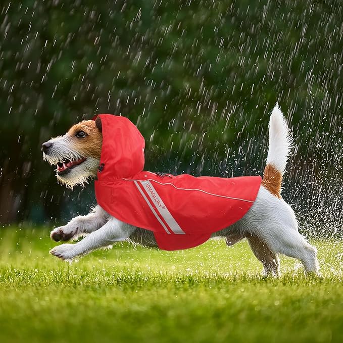 VIVAGLORY Wetoff Dog Raincoat, Rain Coat for Dog All Seasons Adventure, Rain Jacket with Harness Hole & Hood, Reflective Lightweight Waterproof for Doggy & Puppy, M, Red