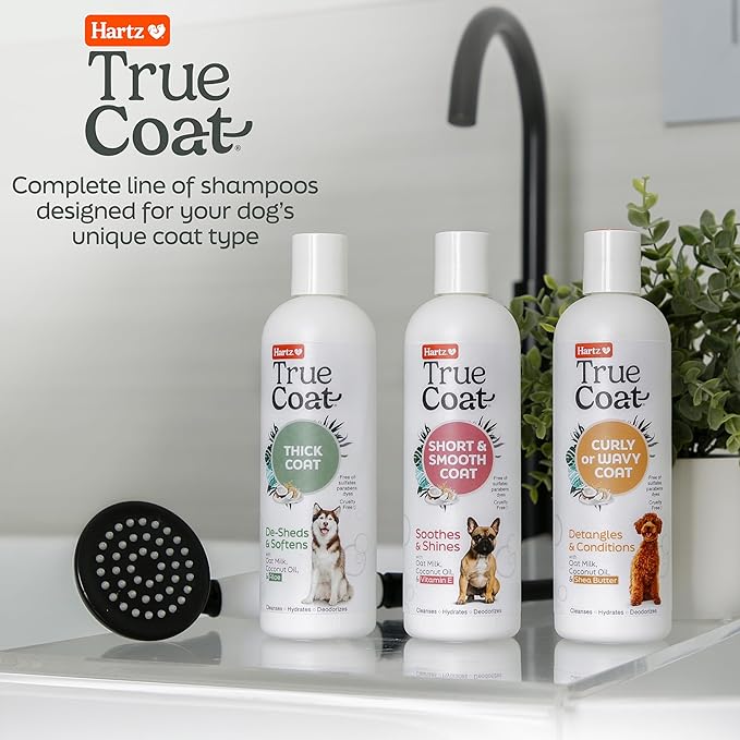 Hartz True Coat Curly or Wavy Coat Specific Dog Shampoo, Detangles & Conditions with Oat Milk, Coconut Oil & Shea Butter