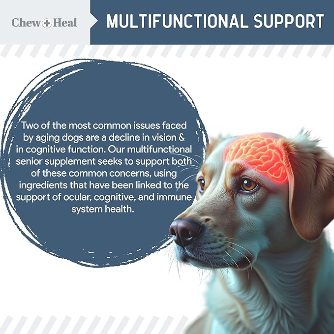 Chew + Heal Labs Senior Dog Vision and Cognition Chews - 60 Soft Chews for Dog Eye Care and Memory - 7-in-1 Multivitamin with Omega Fatty Acids, Vitamins, and Botanicals - Made in The USA
