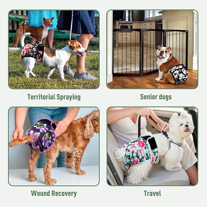 Washable Reusable Female Dog Diapers(5 Pack) Small Medium Large Doggie Puppy & Doggy Dog Diaper, Period Panties in Heat Large