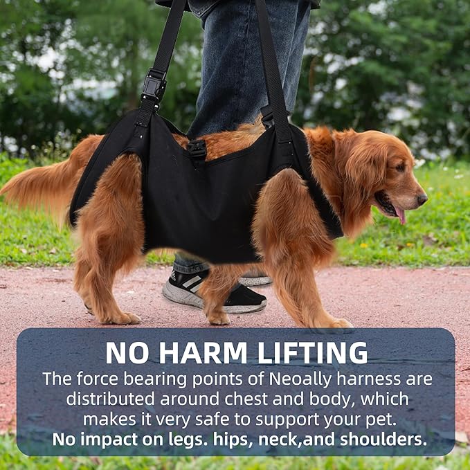Dog Lift Harness, Emergency Backpack Pet Legs Support & Rehabilitation Sling Carrier, Adjustable Lifting Straps for Senior Elderly Dogs Joint Injuries Arthritis L