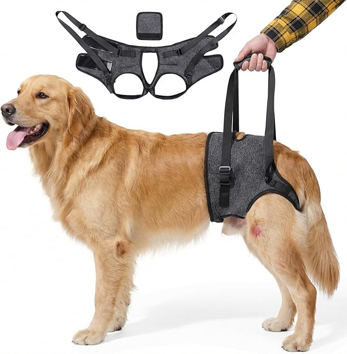 Dog Lift Harness for Back Legs–Sturdy Dog Support Sling–Hip Sling Carrier for Large Medium Canine, Stair Helper for Aid Old Ligament Rehabilitation Pet, Grey,L