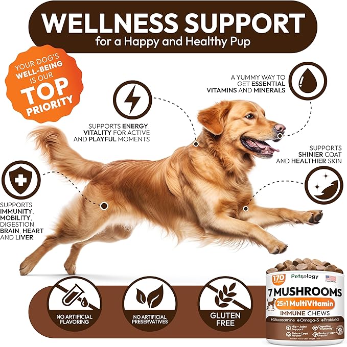 Turkey Tail Mushroom for Dogs - 170 Chews - Lion’s Mane - Shiitake - Reishi - Buddy Immune Support Guard - Mushroom Supplement for Dogs Lumps and Bumps Glucosamine, Health Vitamins Multivitamin
