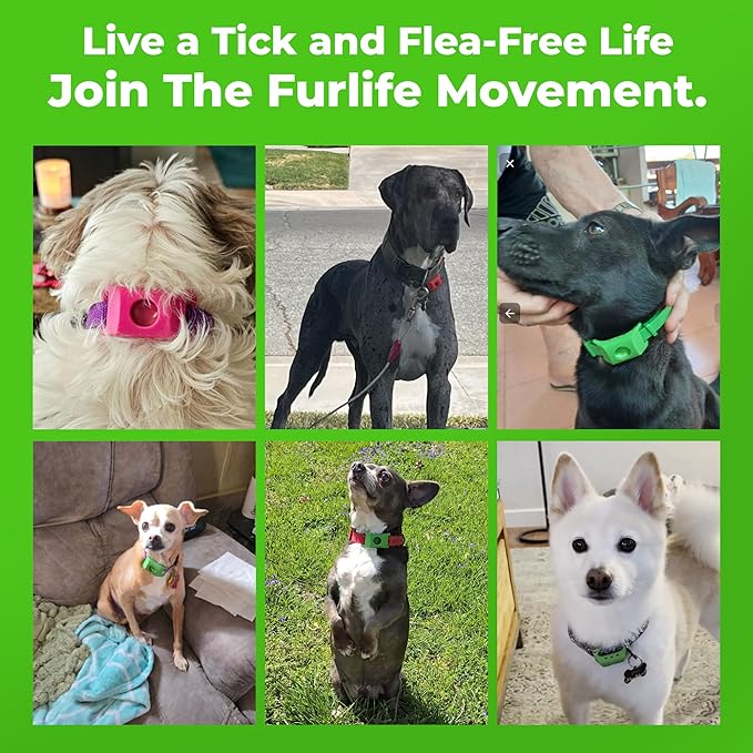 FurLife Pink Dog Tag, Flea and Tick Prevention for Dogs - Waterproof Pendant for Collar, Safe for All Breeds