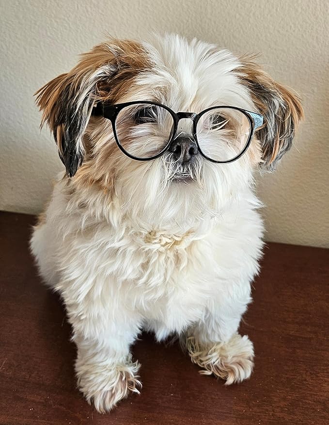 G002 Dog Pet Clear Lens Costume Glasses Small to Medium Breeds 12LBS~30LBS Prop Photoshoot Sunglasses (Panto Black-Clear)