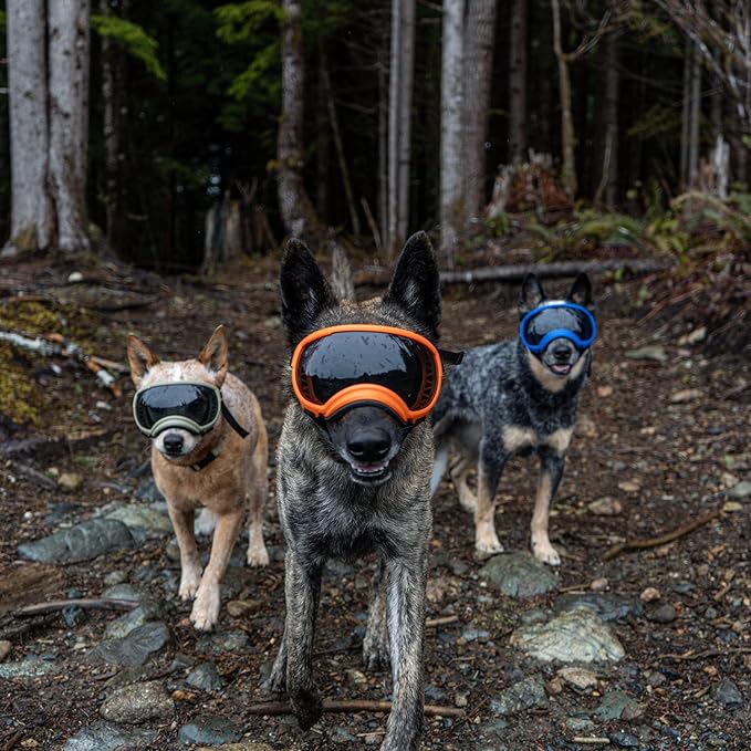 Rex Specs V2 Dog Goggles (Appalachian Orange, Medium)