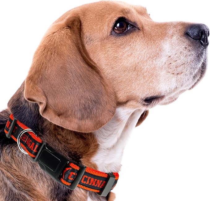 Pets First NFL Cincinnati Bengals Licensed PET COLLAR, Extra Large - Heavy-Duty, Strong, and Durable Dog Collar. Available in 31 Football Teams and 4 Sizes