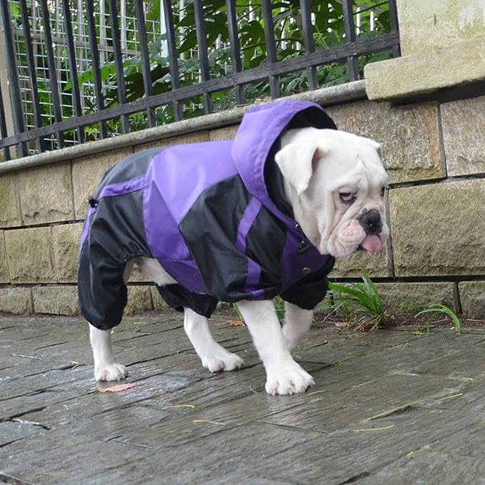 Lovelonglong American Bully Pitbull Dog Hooded Raincoat, Bulldog Rain Jacket Poncho Waterproof Clothes with Hood Breathable 4 Feet Four Legs Rain Coats for Pugs English French Bulldog Purple B-S