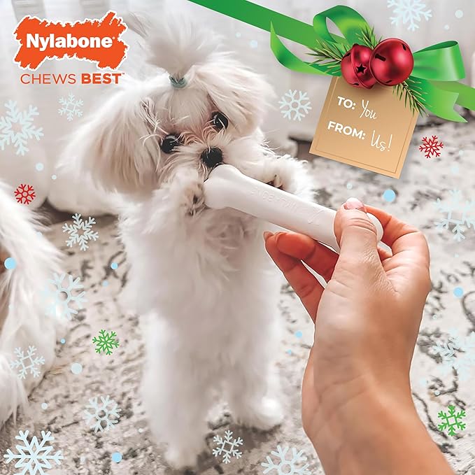 Nylabone Holiday Edition Puppy Starter Kit, 2 Teething Toys and 1 Natural Treat for Puppies, Chicken & Bacon Flavor, Small - Up to 25 lbs, 3 Pack
