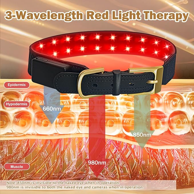 Red Light Therapy for Dogs Collar – Infrared & Red Light Therapy Device with 660nm&810nm & 980nm Wavelengths, Wearable Support for Muscle Comfort, Pain Relief, Skin & Tissue Support and Daily Wellness