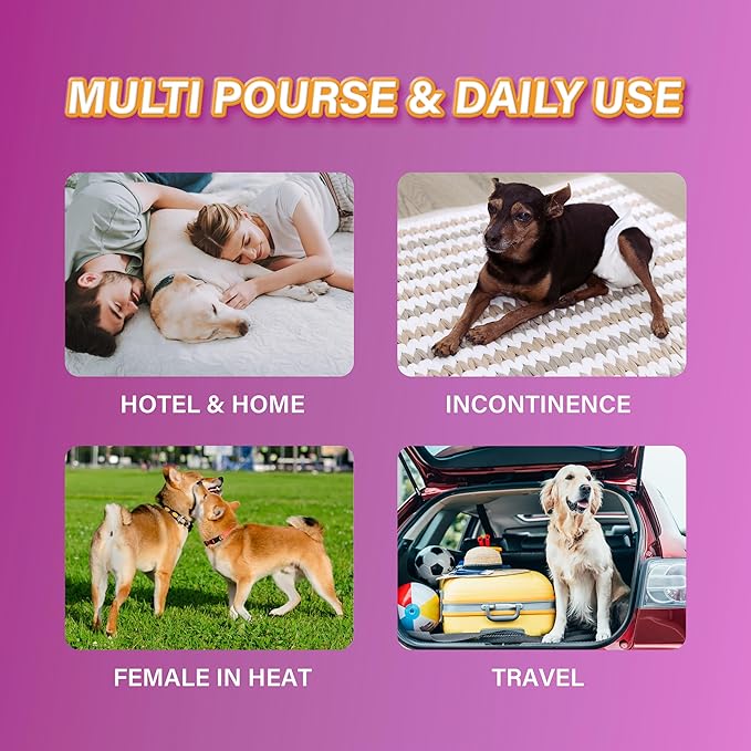HONEY CARE All-Absorb Disposable Dog Diapers XL Size, Improved Bigger Size, 12 Count, Super Absorbent, Breathable, Wetness Indicator