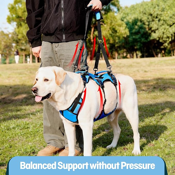 Dog Lift Harness for Large Dogs, Full Body Support Sling with 3 Handles and Shoulder Strap, Carrying Vest for Senior Dogs with Arthritis or Joint Injuries, Stairs Assistance, Blue, Large