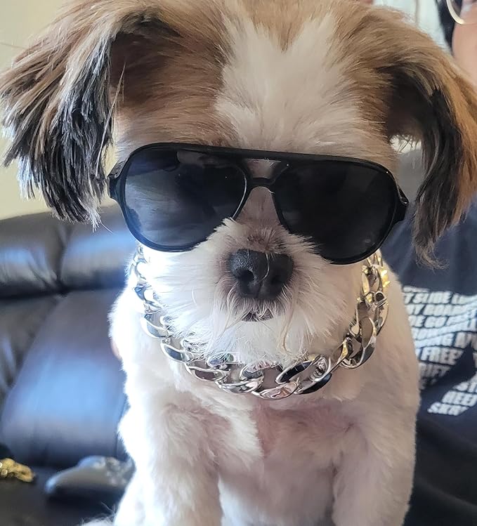 C02 Dog Pet 2pcs Costume Aviator Sunglasses with Chain Necklace for Small Breed up to 15lbs (Small Aviator Black+Silver Chain)