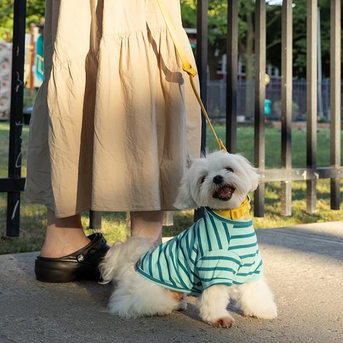 Fitwarm 3 Pack Color Block Striped Dog Shirt, Summer Dog Clothes for Small Dogs, Breathable Lightweight Pet Tshirt with Sleeves, Cat Outfit, Royal Blue, Gray, Teal, XS