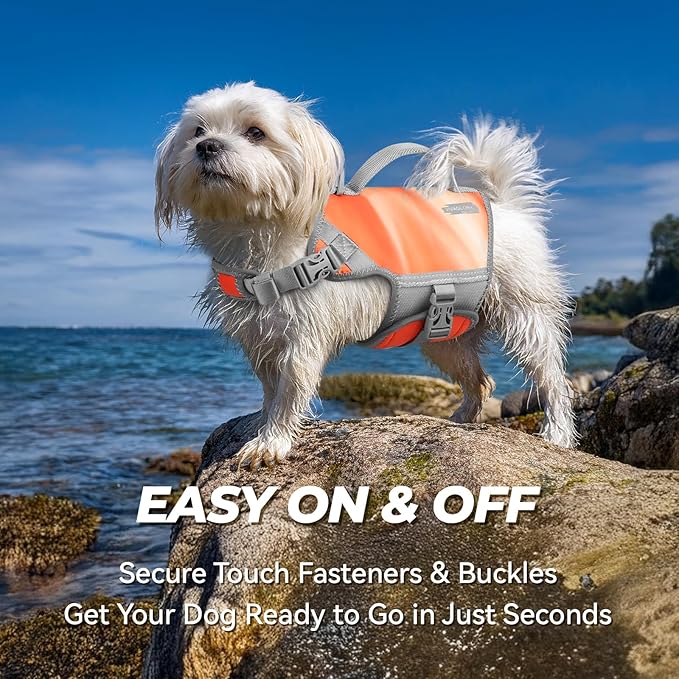 VIVAGLORY Neoprene Dog Life Vest, Dog Life Jacket for Swimming & Boating, Lightweight & Buoyancy for Puppy Doggy, Swimming Vest with Handle, XS, Orange Sunset