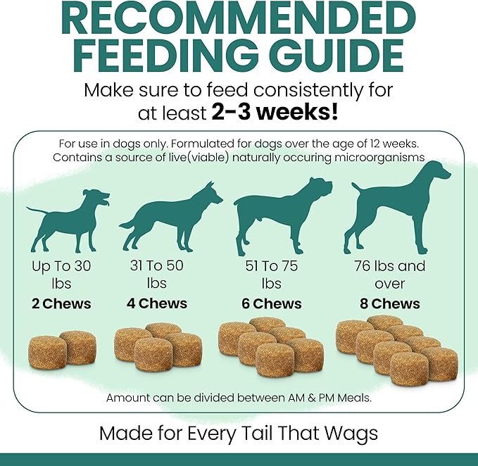 12-in-1 Dog Multivitamin Soft Chews, 120 Ct - Dog Vitamins & Supplements, Glucosamine Chondroitin, Probiotics, Omega 3 - Hip & Joint, Skin & Coat, Immune Support for Puppy & Senior Dogs - Chew + Heal
