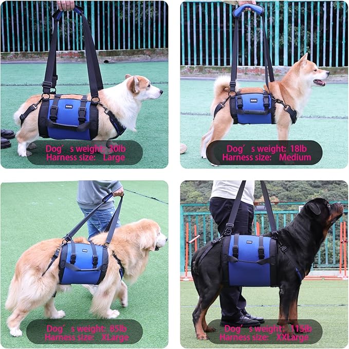 Dog Carry Sling, Emergency Backpack Pet Legs Support & Rehabilitation Dog Lift Harness for Large Dogs, Dog Carrier for Senior Dogs Joint Injuries, Arthritis, Up and Down Stairs (Blue, XXL)