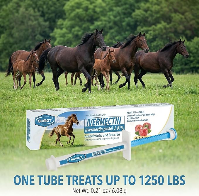 6-Pack Ivermectin Horse Paste 1.87% – Apple Flavored Oral Dewormer for Horses