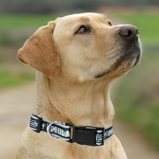 Pets First NFL Philadelphia Eagles Licensed PET COLLAR, Medium - Heavy-Duty, Strong, and Durable Dog Collar. Available in 31 Football Teams and 4 Sizes