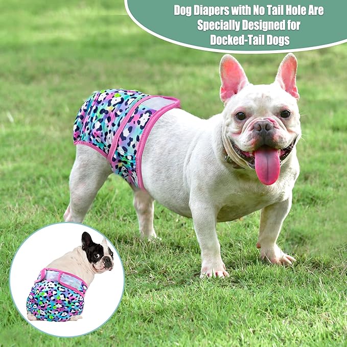 wegreeco Frenchie Dog Diapers Female No Tail Hole,Washable Pet French Puppy Bulldog Diapers Female for Period Heat,Reusable Doggy Doggie Dog Diapers （Cow Pattern Small）