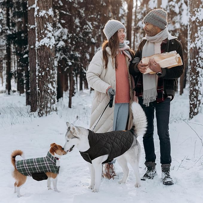 Kuoser Warm Dog Coat, Waterproof Dog Jacket for Extra Large Dogs, Adjustable Durable XL Doggie Winter Coat Reversible Cozy Puppy Cold Weather Apparel from Small to Large Breed, Green XL
