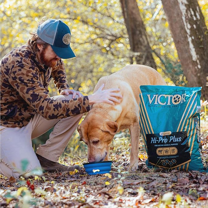 VICTOR Super Premium Dog Food – Hi-Pro Plus Dry Kibble – High Protein Dog Food with 30% Protein – Beef, Chicken, Pork, Fish Meals, Gluten Free - for High Energy and Active Dogs & Puppies, 15lbs
