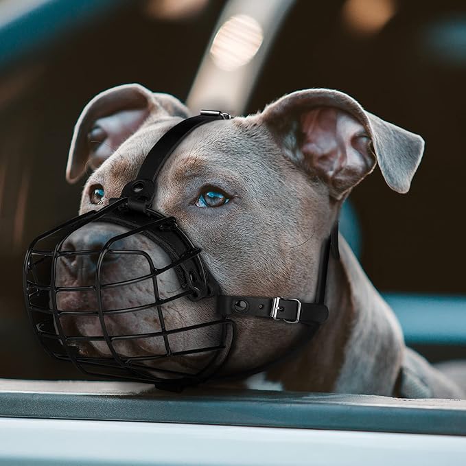 Pitbull Dog Muzzle Metal Mask Amstaff Secure Wire Basket Adjustable Durable Leather Straps for Large Dogs (Black)
