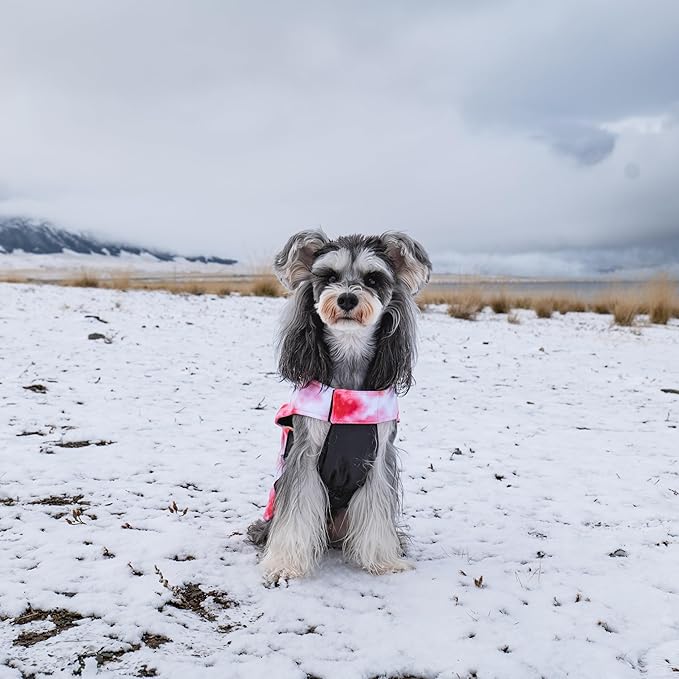 CuteBone Winter Dog Coat - Waterproof & Windproof Jacket, Reversible Vest, Thick Soft Coats for Small, Medium & Large Dogs, with Leash Hole GMF29M