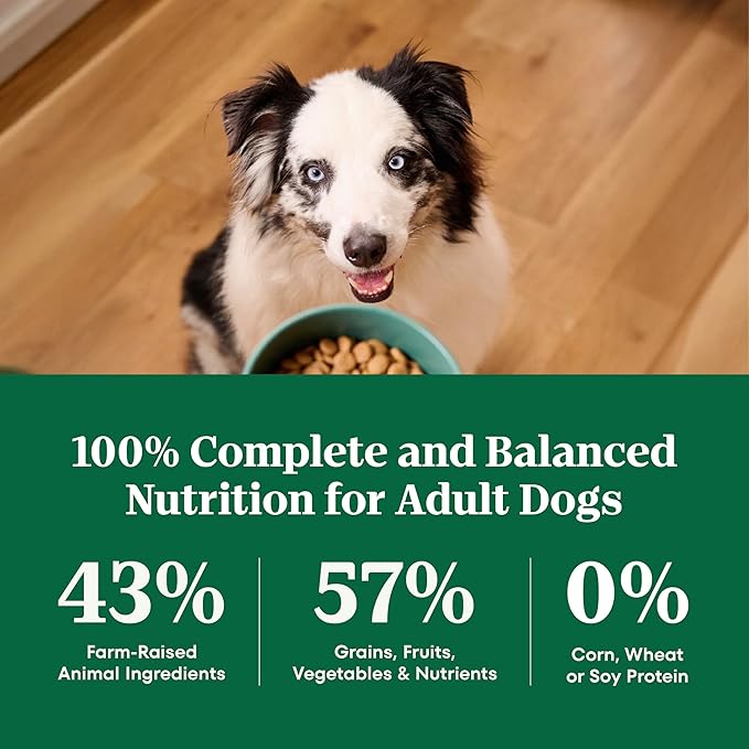 Nutro Natural Choice Dry Dog Food, Adult Dog Food Dry Beef and Brown Rice Recipe, 12 lbs.