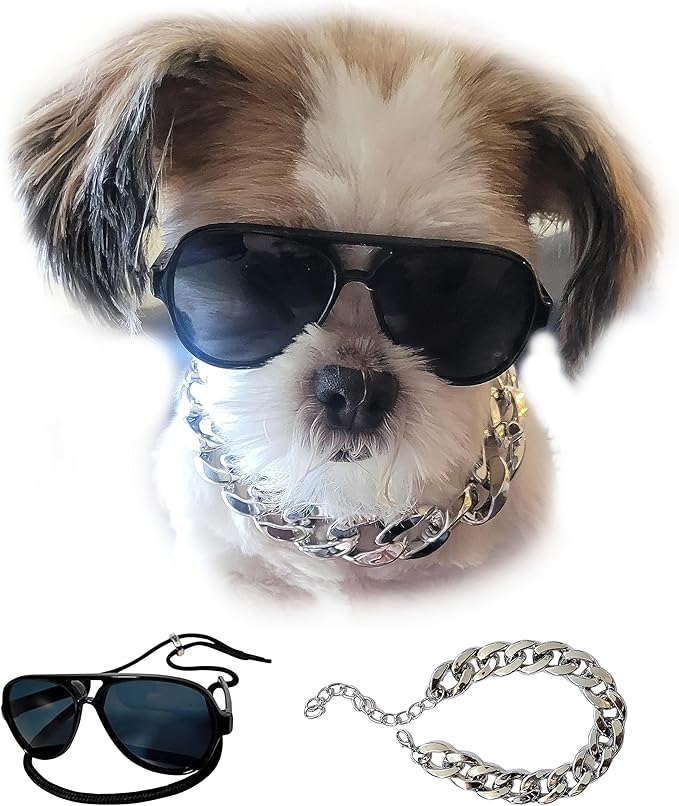 C02 Dog Pet 2pcs Costume Aviator Sunglasses with Chain Necklace for Small Breed up to 15lbs (Small Aviator Black+Silver Chain)