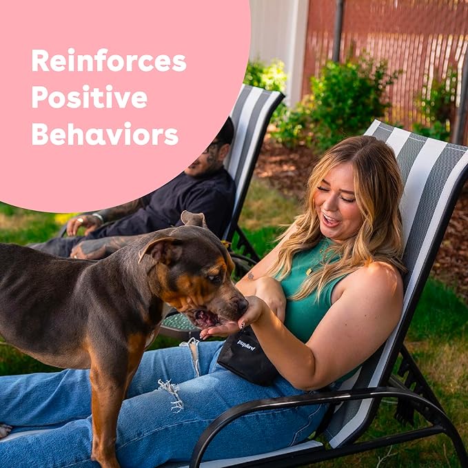 Pupford Freeze Dried Training Treats for Dogs & Puppies, 950+ Two Ingredient Bites (Salmon, 8 oz)