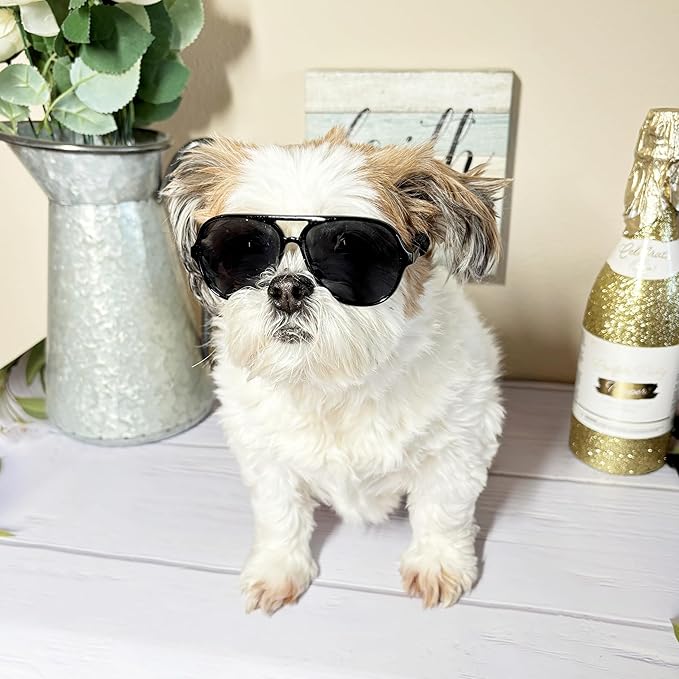 G048 Dog Pet Cat Costume Retro Aviator Sunglasses Adjustable for Small-Medium Dogs Approximately 12-30 lbs Party Prop Cosplay Photoshoot (Aviator Black)