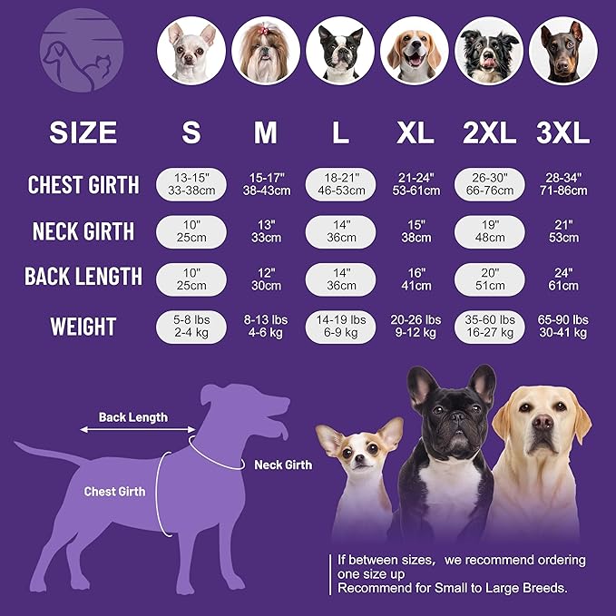 cyeollo Fleece Dog Jacket Sweater with Fleece Lining Zipper Reflective Jackets Small Dog Clothes Winter Coats Warm Pet Apparel