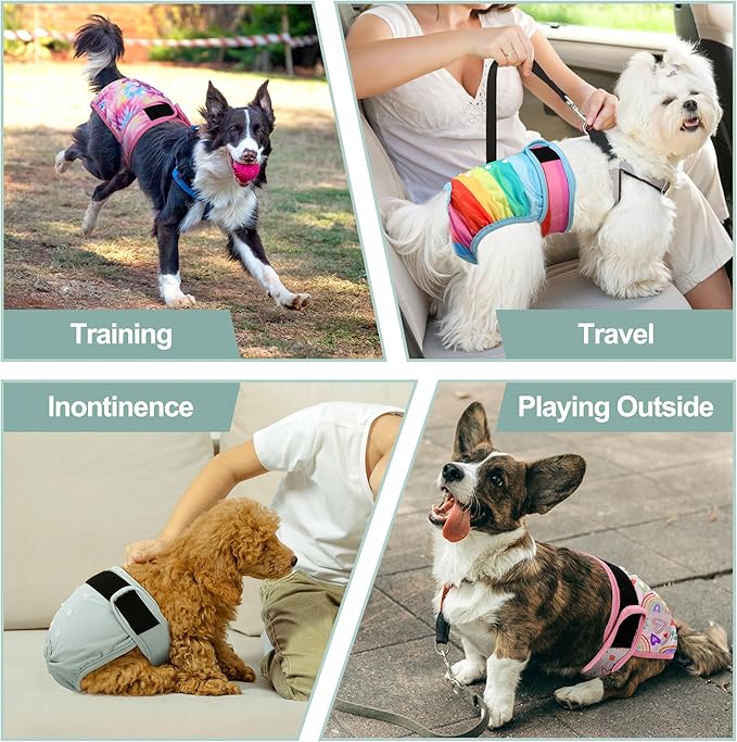 Female Dog Diapers 5Pcs - Premium Reusable Diapers for Doggie in Heat - Highly Absorbent Dog Diapers Female for Pet Incontinence with Adjustable Snaps, Rainbow, L