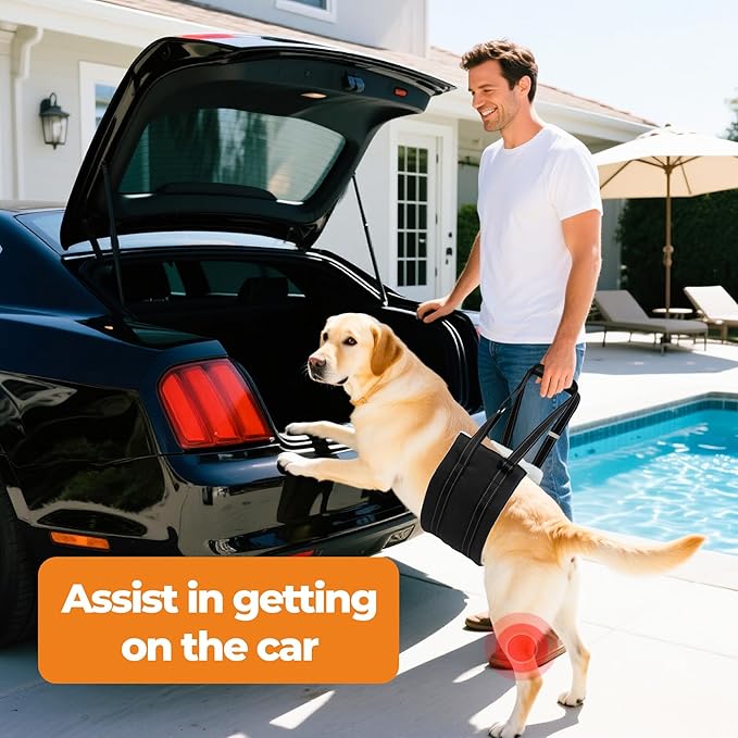 Dog Lift Harness, Adjustable Comfortable Dog Sling with Handle for Hind Leg Support Soft Lift Support and Rehab Harness for Weak Rear Legs, Helps Senior, Injured, Disabled and After ACL Surgery Dogs S