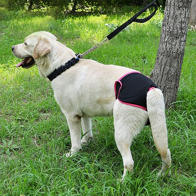 TOPINCN Dog Underwear Flexible Physiological Pants Puppy Female Pet Sanitary Diaper for Small Medium Large Dogs(XS- Black)