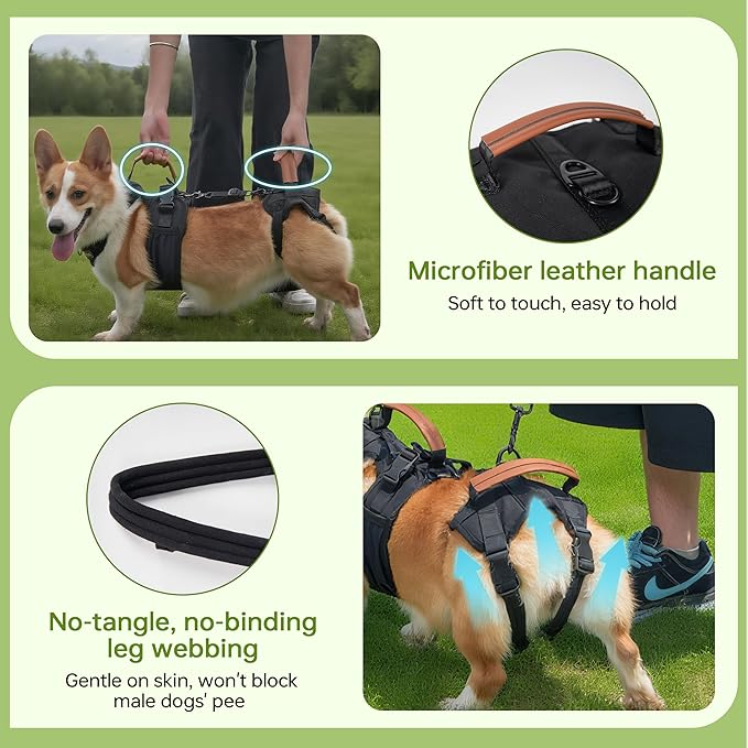 Dog Lift Harness for Male Dogs - 2-in-1 Full Body Support Aid & Sling, Comfortable & Chafe-Free for Post-Surgery Recovery and Elderly Dog Mobility, Hind Leg Assistance, Supports up to 55 Lbs (L)
